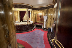 25F0A24C-702E-4FE3-8429-A433CF8E8790