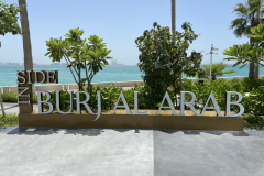 FEE6BECE-CDF2-480A-A1B4-4A8B983710C7